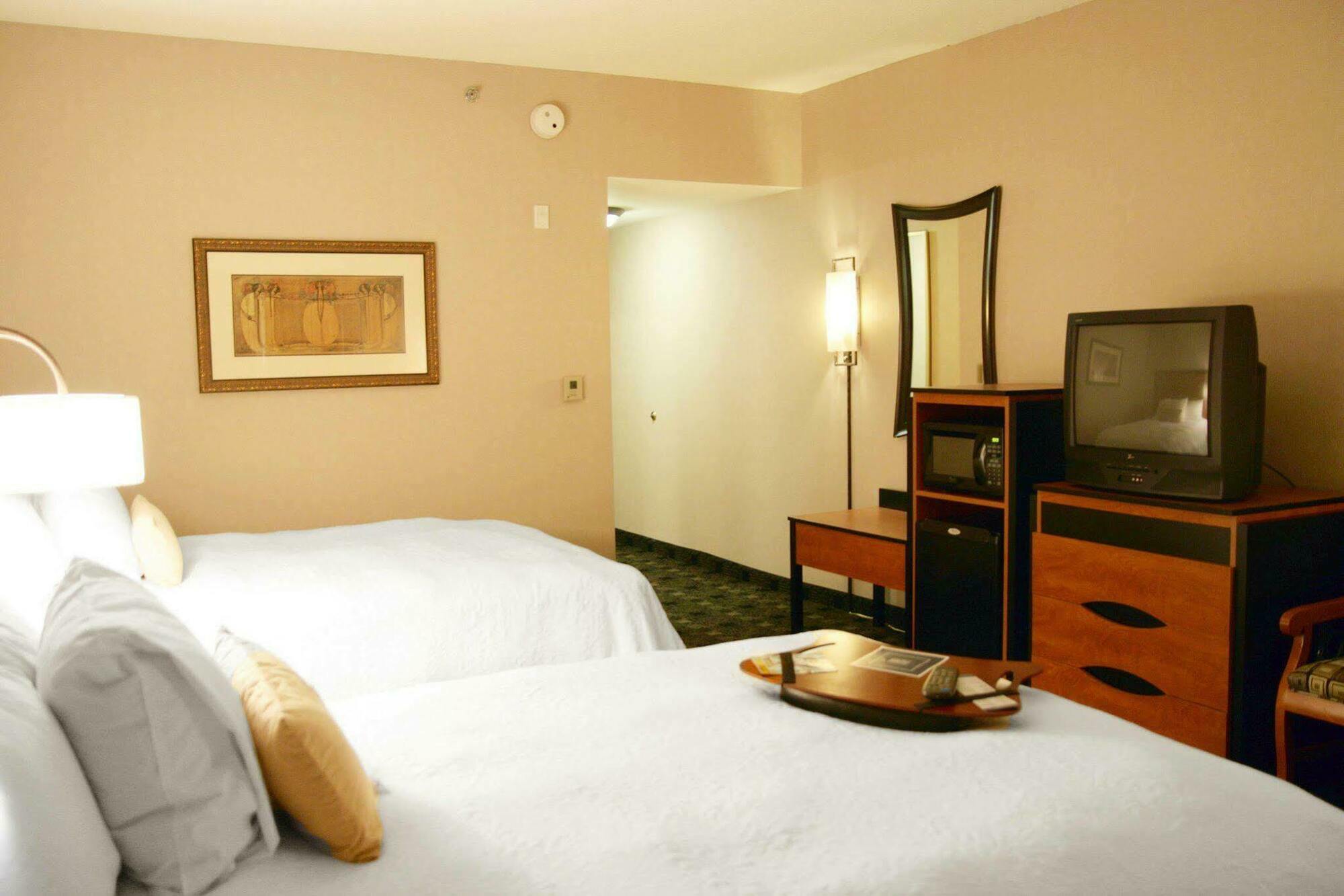 Hampton Inn And Suites Indianapolis-Fishers Pokój zdjęcie